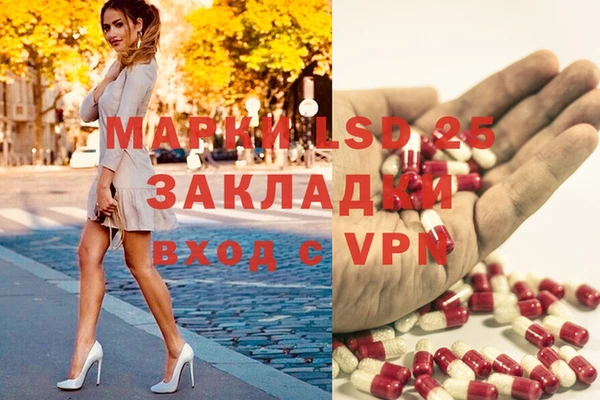 apvp Апатиты
