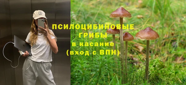 экстази Кулебаки